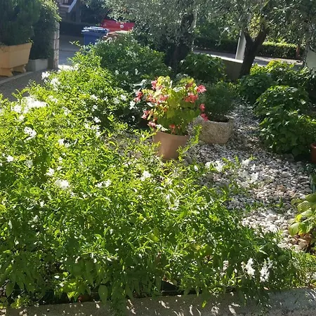 Dario דירה קרק