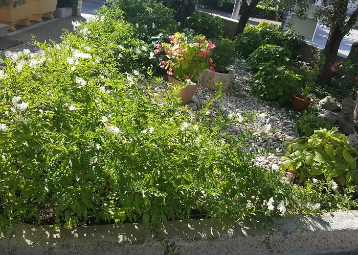 Апартаменты Dario Крк