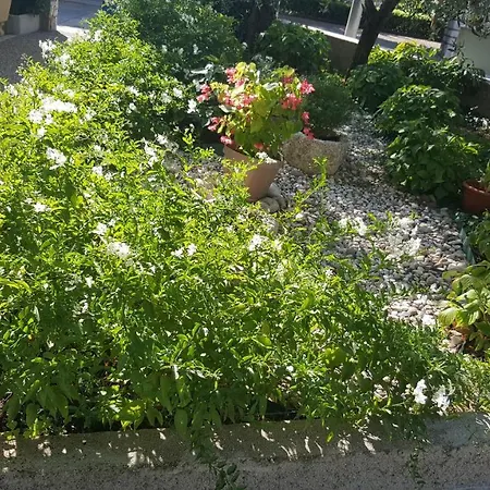 Apartamento Dario Krk Town