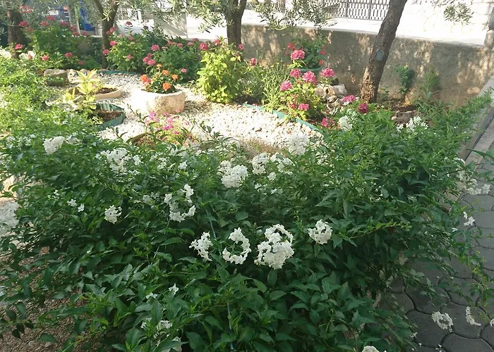 Dario Appartamento *